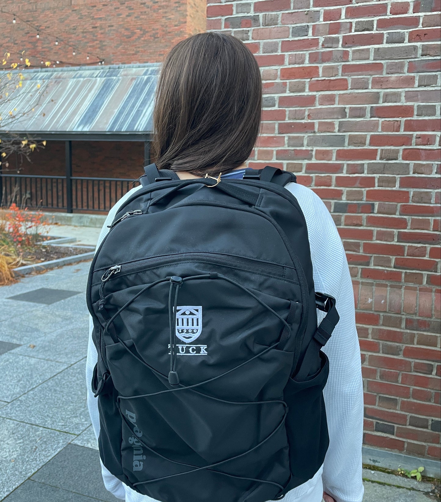Patagonia Refugio Backpack