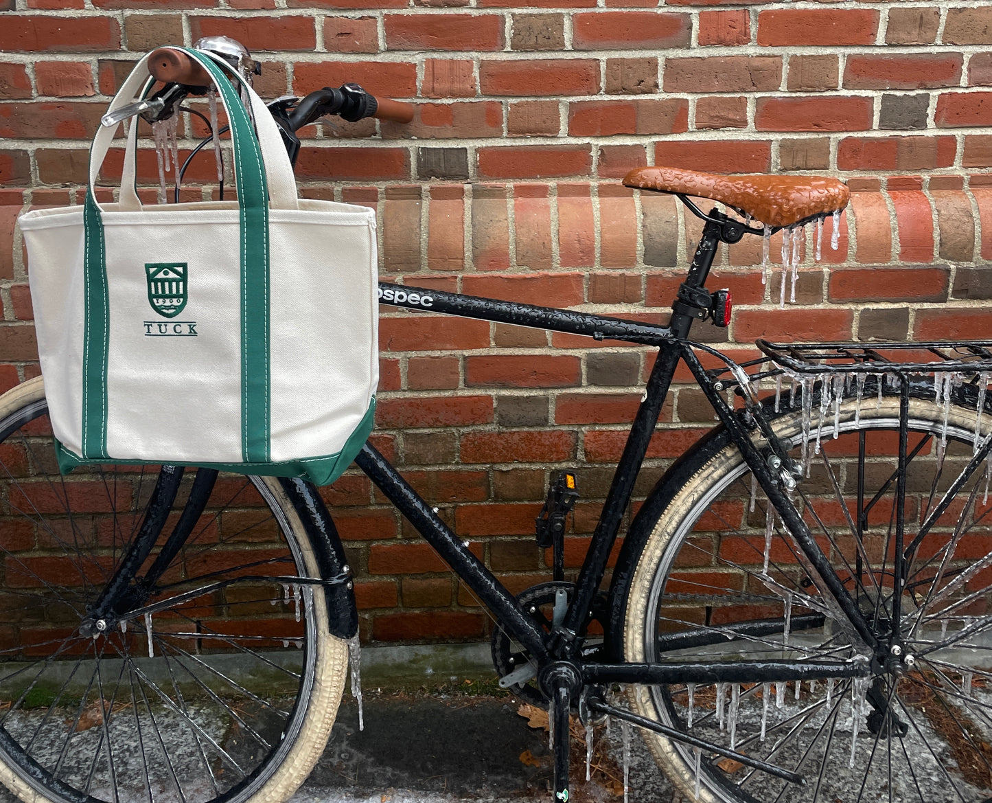 L.L. Bean Medium Canvas Boat and Tote