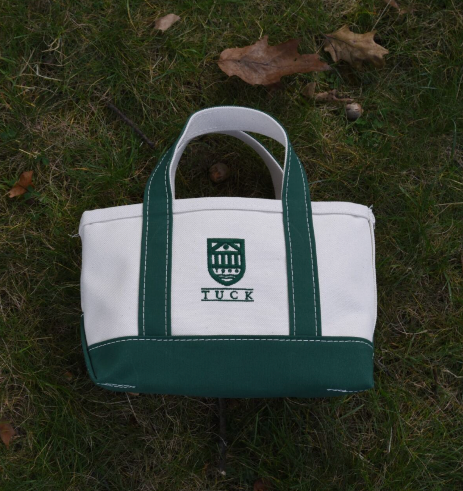 L.L. Bean Mini Canvas Boat and Tote – TuckStuff