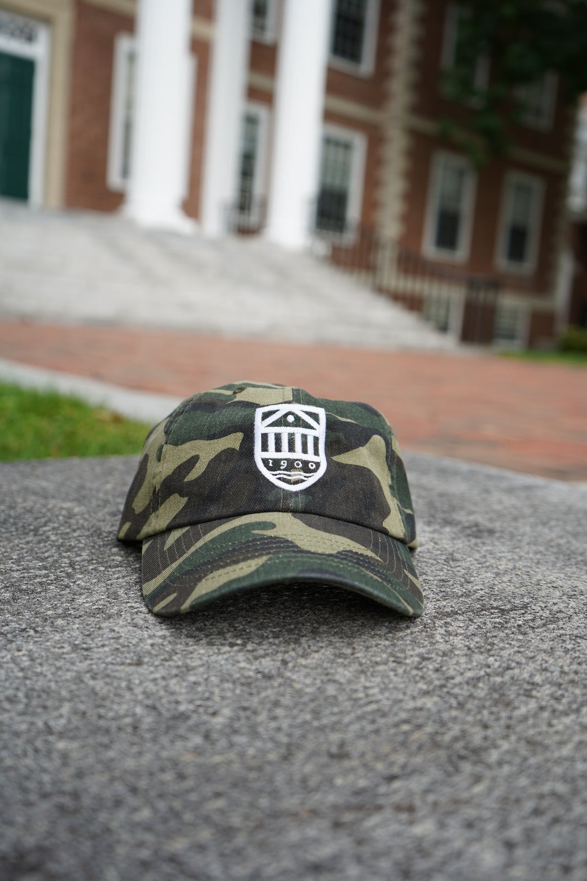 Shield Hat (Camo)