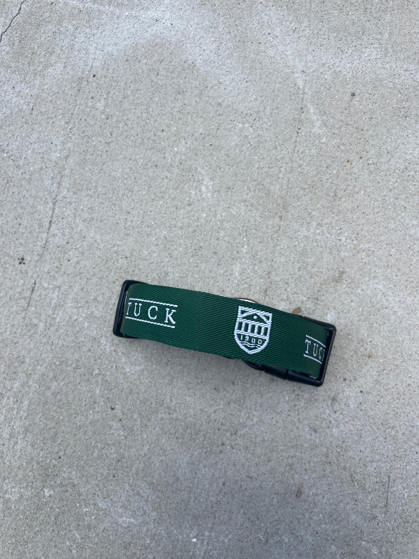 Tuck Dog Collar