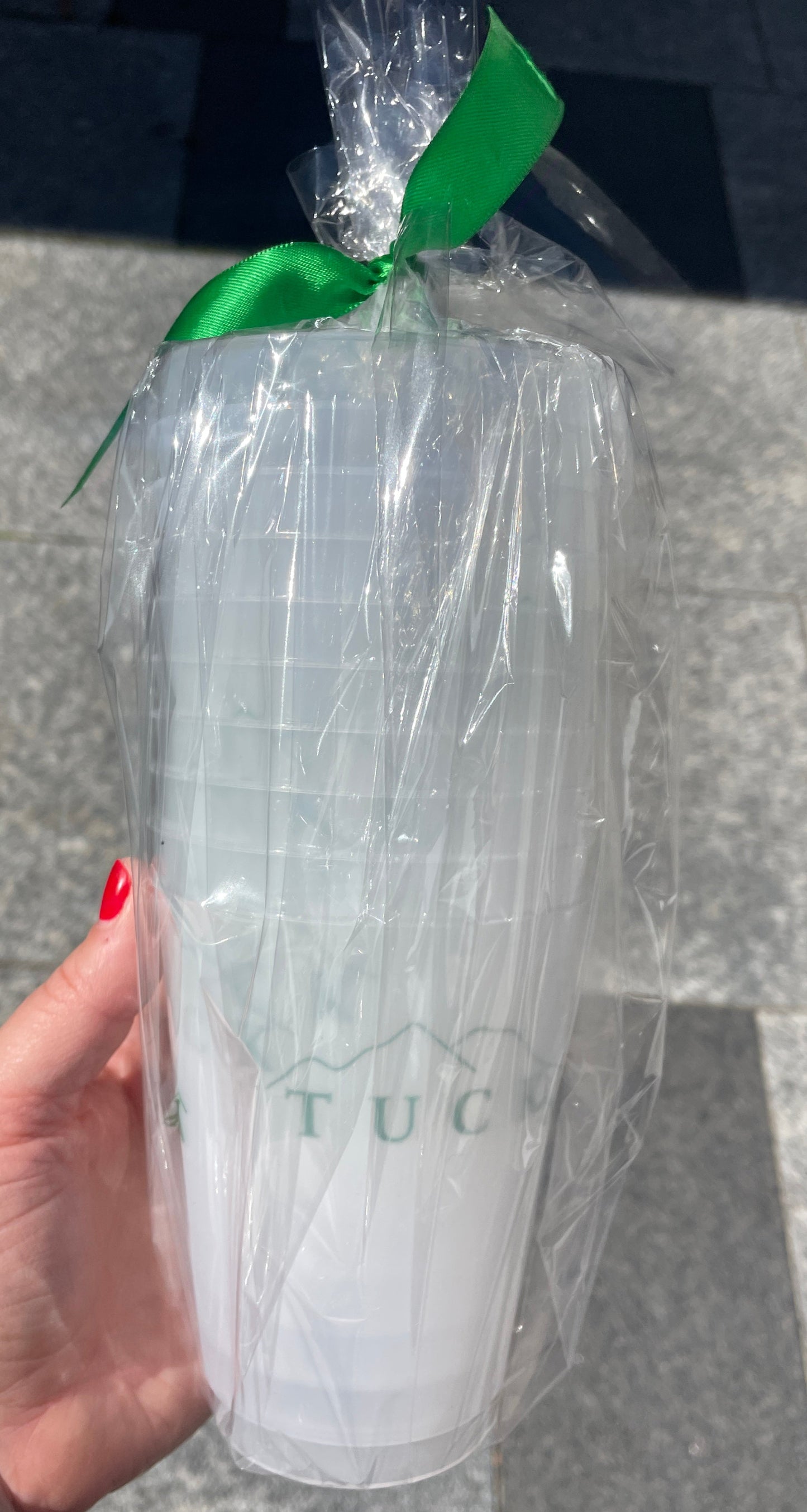 Tuck Mountain Frosted Cups (Set of 10)